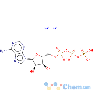 CAS No:987-65-5 Adenosine 5'-triphosphate disodium salt