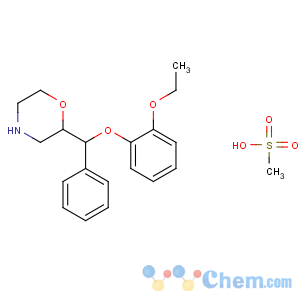 CAS No:98769-84-7 (2R)-2-[(R)-(2-ethoxyphenoxy)-phenylmethyl]morpholine