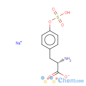 CAS No:98930-06-4 L-Tyrosine, hydrogensulfate (ester), monosodium salt (9CI)