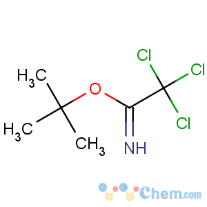 CAS No:98946-18-0 tert-butyl 2,2,2-trichloroethanimidate