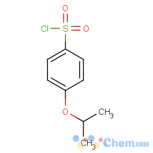 CAS No:98995-40-5 4-propan-2-yloxybenzenesulfonyl chloride