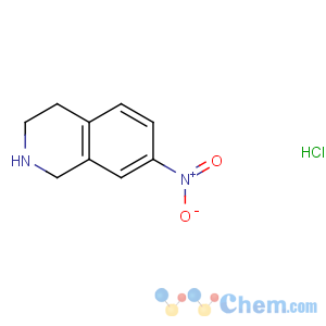 CAS No:99365-69-2 7-nitro-1,2,3,4-tetrahydroisoquinoline