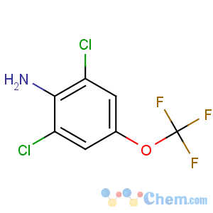 CAS No:99479-66-0 2,6-dichloro-4-(trifluoromethoxy)aniline