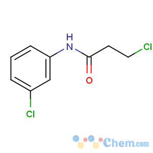 CAS No:99585-98-5 3-chloro-N-(3-chlorophenyl)propanamide