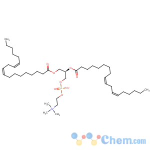 CAS No:998-06-1 3,5,9-Trioxa-4-phosphaheptacosa-18,21-dien-1-aminium,4-hydroxy-N,N,N-trimethyl-10-oxo-7-[[(9Z,12Z)-1-oxo-9,12-octadecadien-1-yl]oxy]-,inner salt, 4-oxide, (7R,18Z,21Z)-