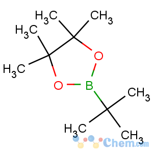 CAS No:99810-76-1 TERT-BUTYLBORONIC ACID PINACOL ESTER